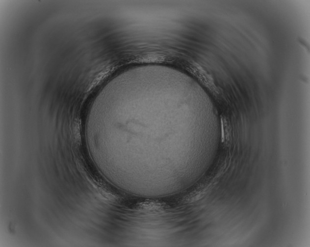 X0000091640300200709131436