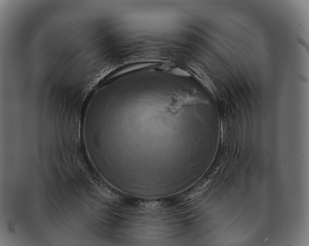 X0000091640301200709131436