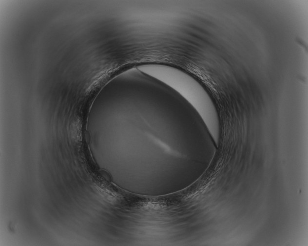 X0000091640303200709131436