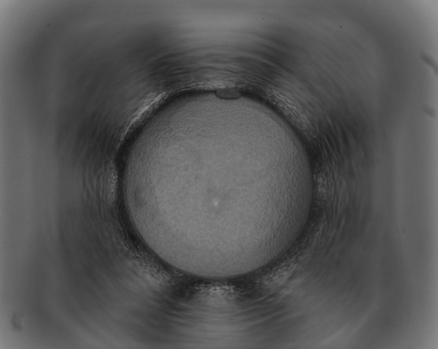 X0000091640304200709131436