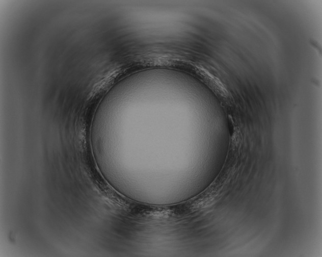 X0000091640306200709131436
