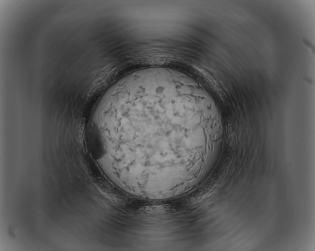 X0000091640307200709131436