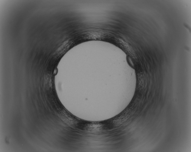 X0000091640313200709131436