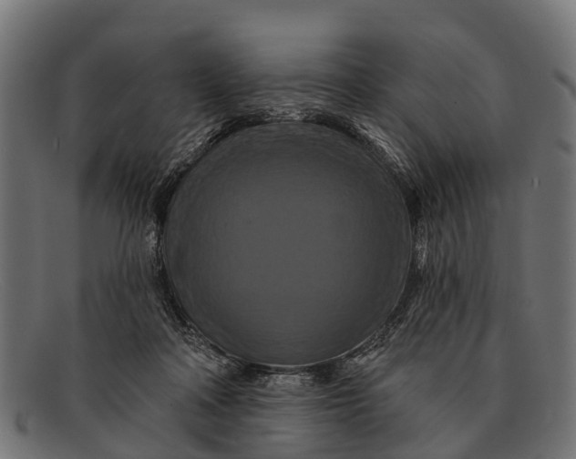 X0000091640314200709131436