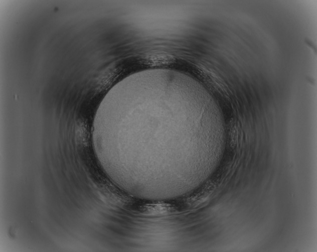 X0000091640316200709131436