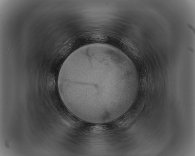 X0000091640320200709131436