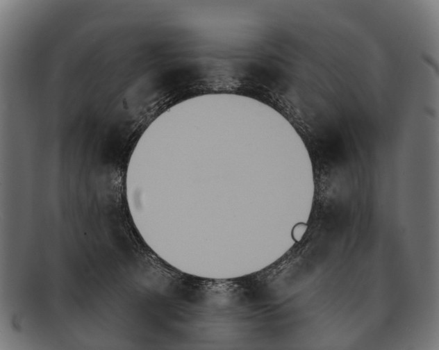 X0000091640321200709131436