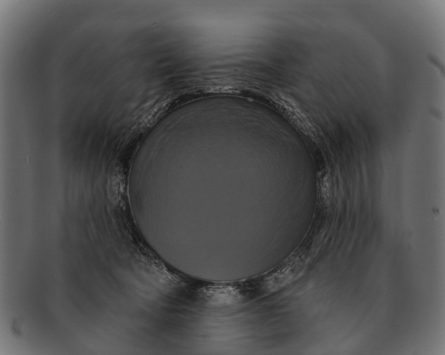 X0000091640322200709131436