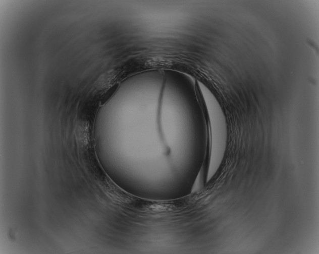 X0000091640323200709131436