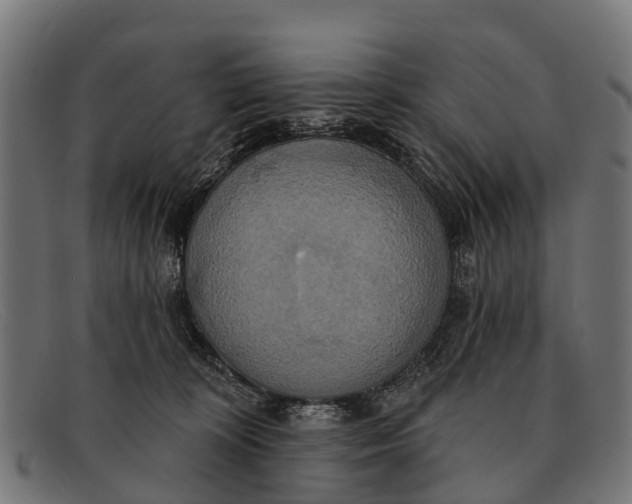 X0000091640324200709131436