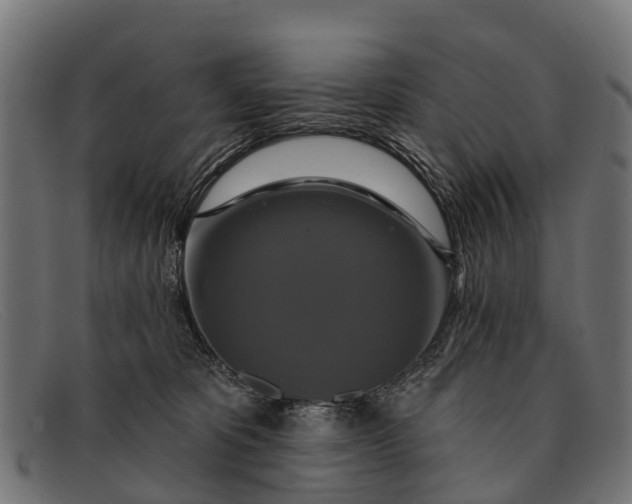 X0000091640325200709131436