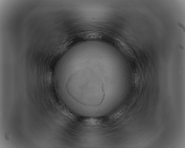 X0000091640326200709131436