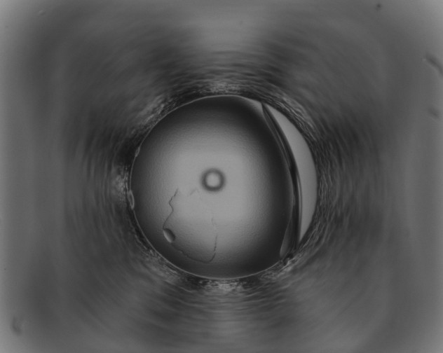 X0000091640329200709131436