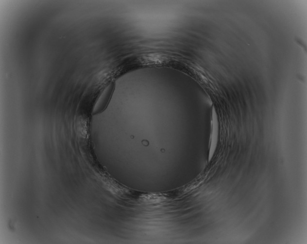 X0000091640331200709131436