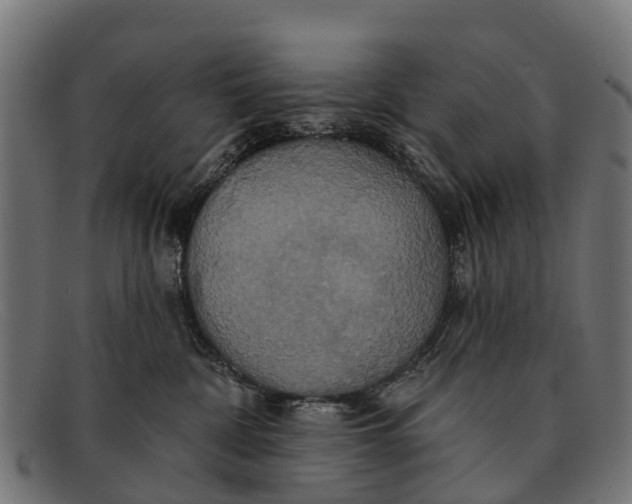 X0000091640332200709131436