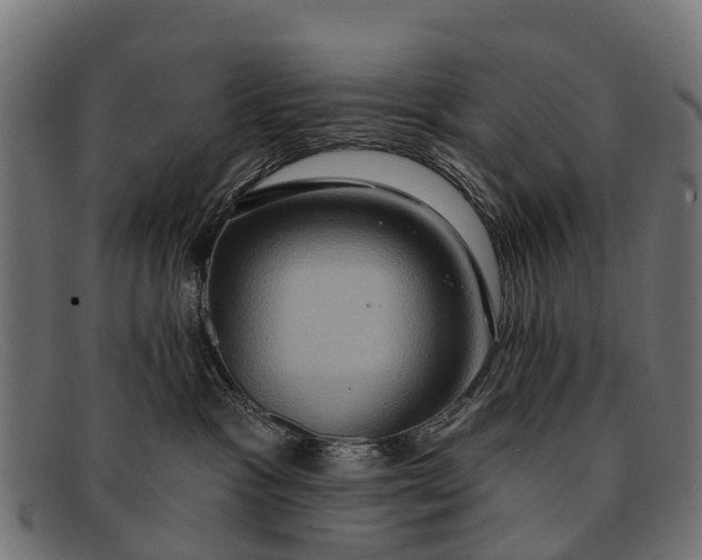 X0000091640333200709131436