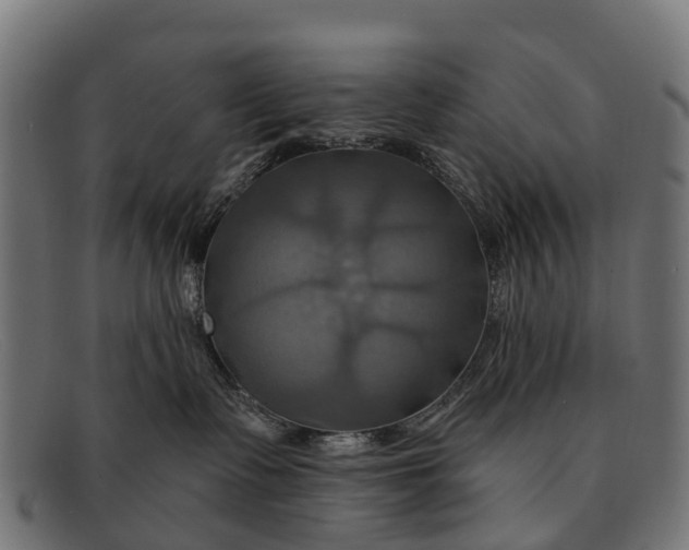 X0000091640335200709131436