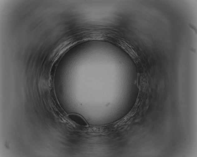 X0000091640338200709131435