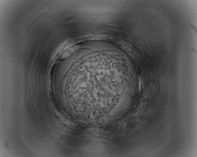 X0000091640339200709131435