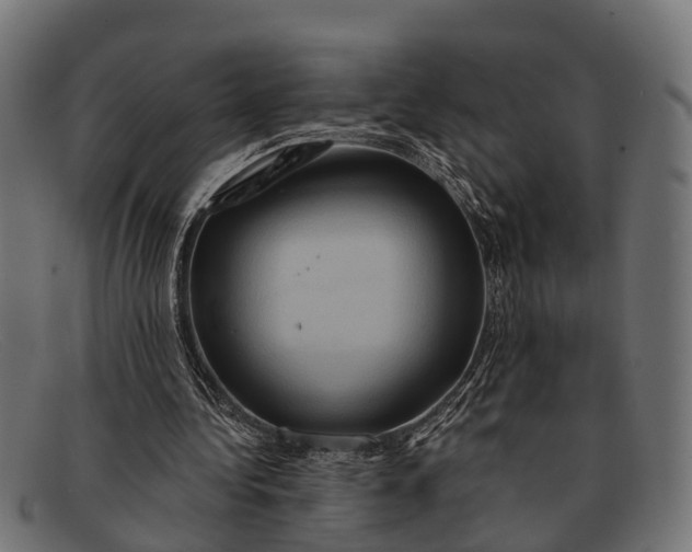 X0000091640340200709131435