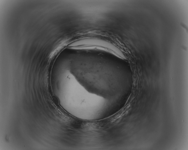X0000091640341200709131435