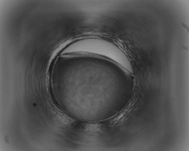 X0000091640342200709131435