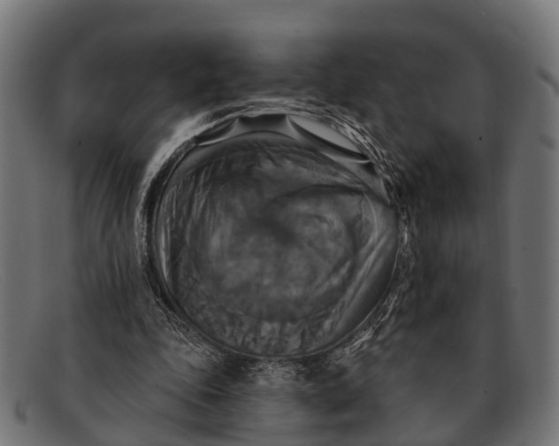 X0000091640343200709131435