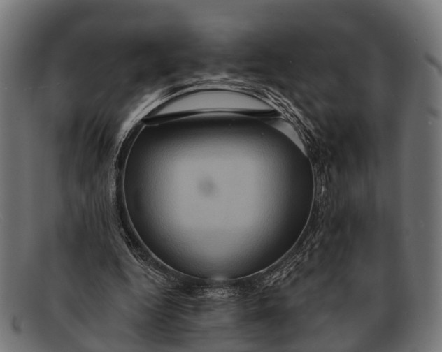 X0000091640344200709131435