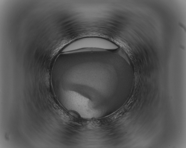 X0000091640345200709131435