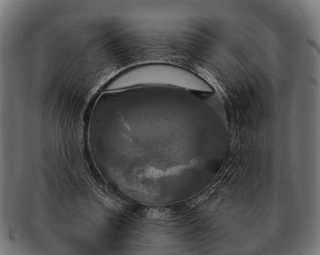 X0000091640346200709131435