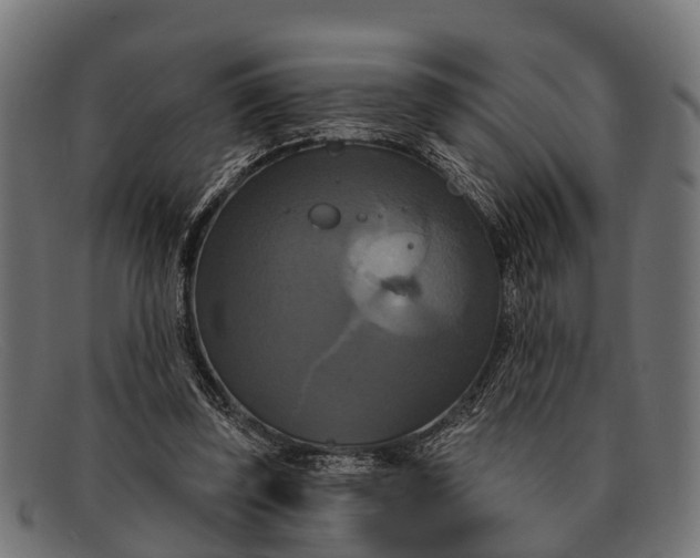 X0000091640347200709131435