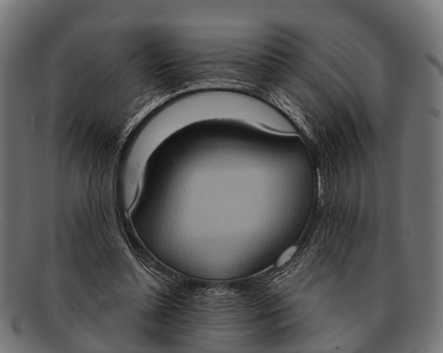 X0000091640348200709131435