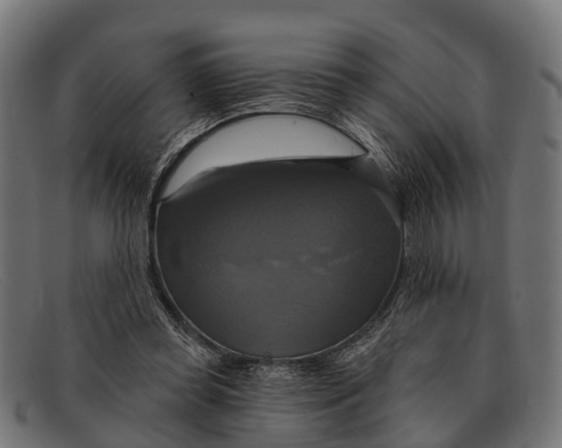 X0000091640349200709131435