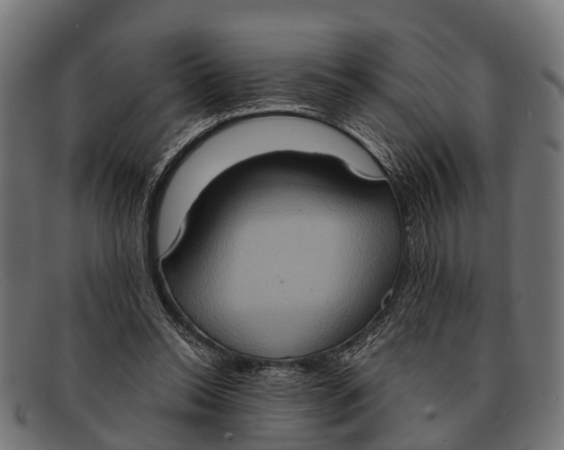 X0000091640350200709131435