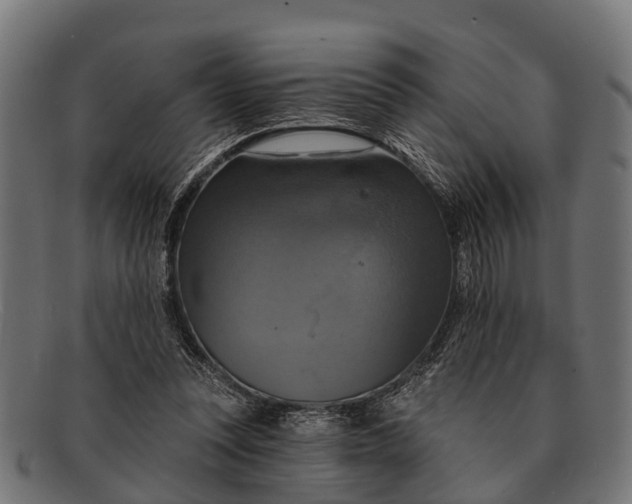 X0000091640351200709131435