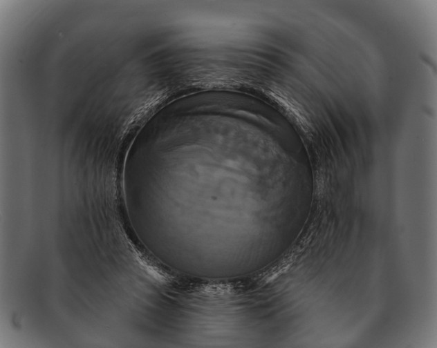 X0000091640353200709131436