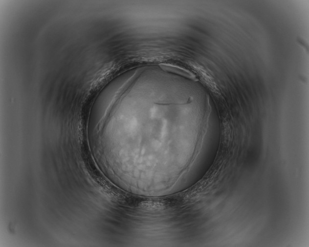 X0000091640354200709131436