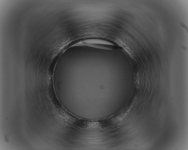 X0000091640355200709131436