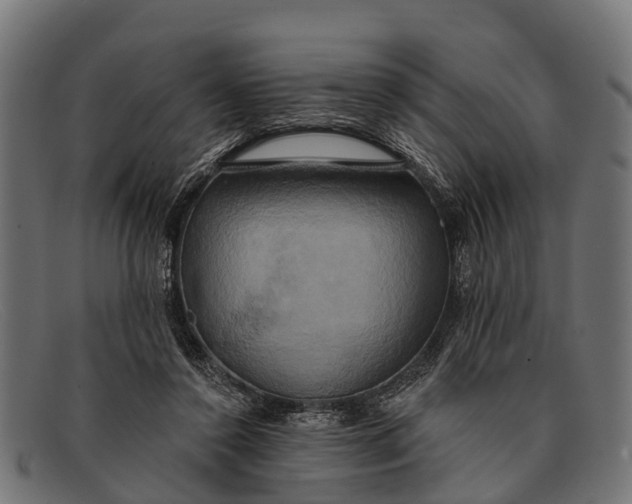 X0000091640356200709131436