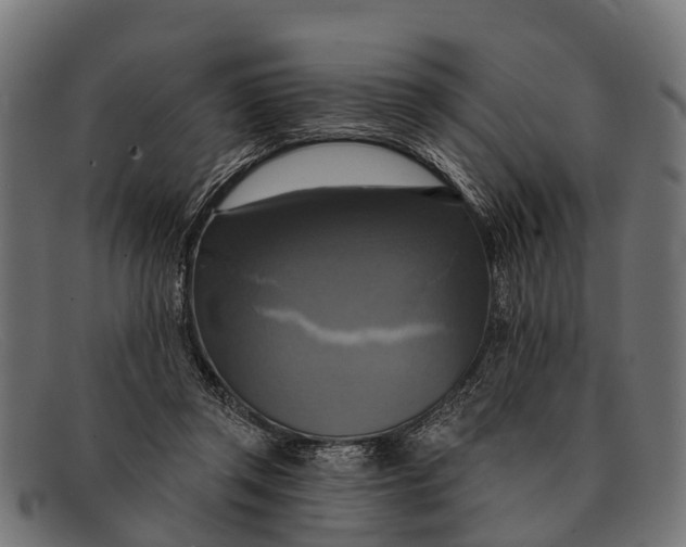 X0000091640357200709131436