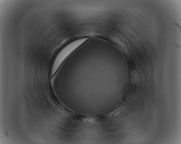X0000091640358200709131436