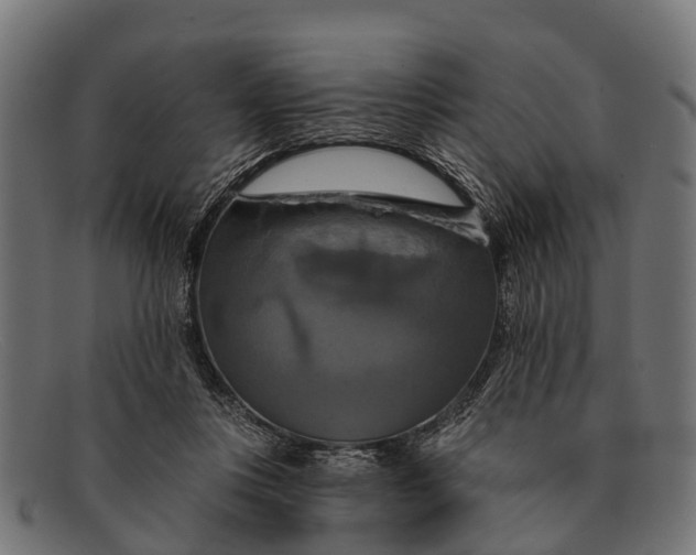 X0000091640359200709131436