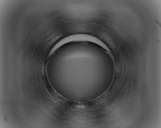 X0000091640360200709131436