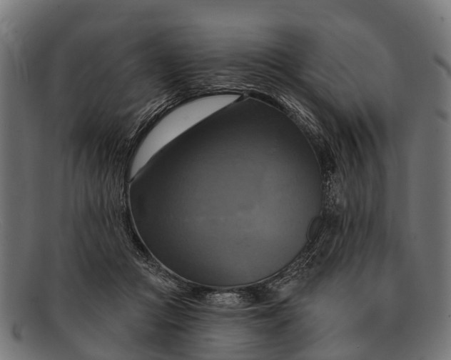 X0000091640361200709131436