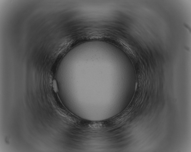 X0000091640362200709131436