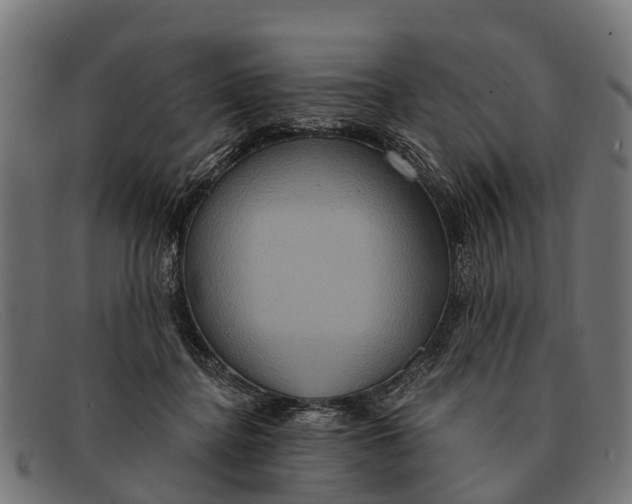 X0000091640364200709131436