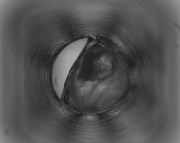 X0000091640365200709131436