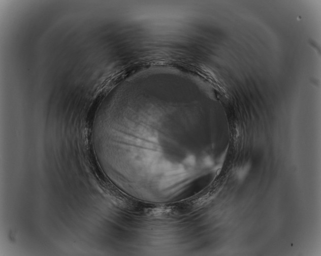 X0000091640366200709131436