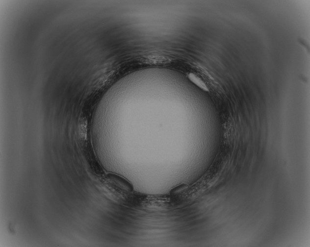 X0000091640368200709131436