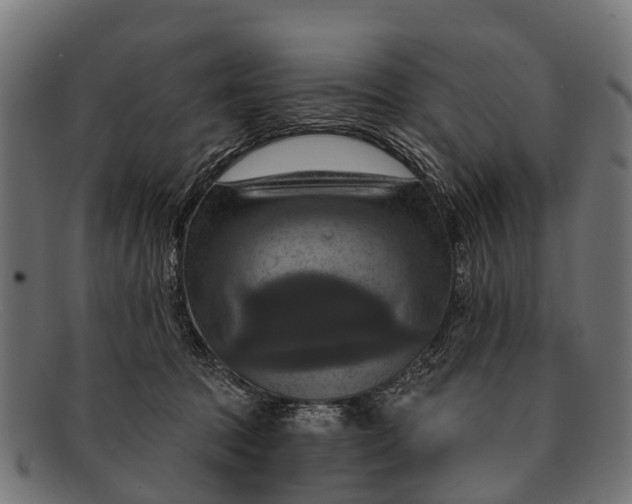 X0000091640369200709131436